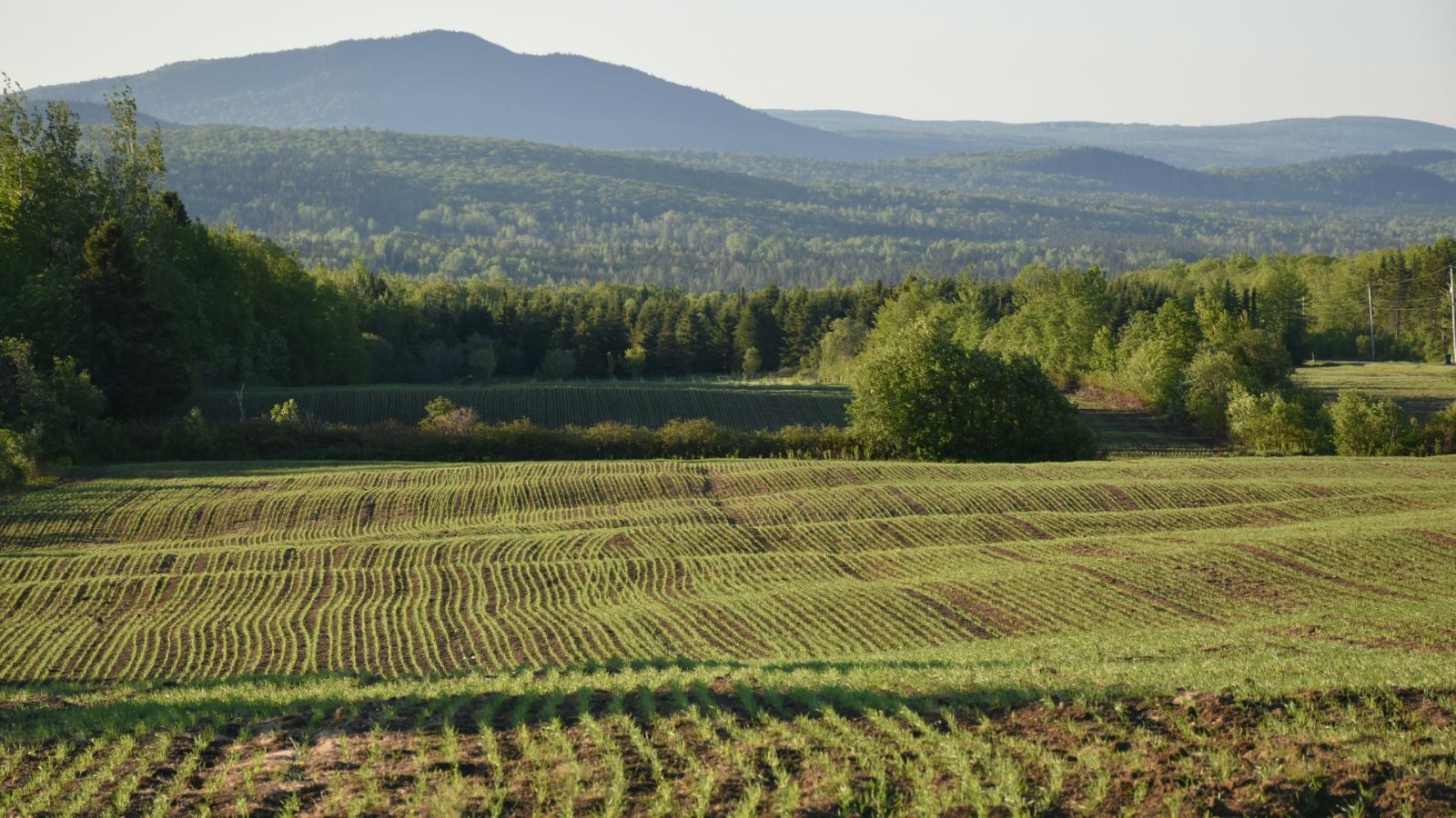 Terre agricole au Québec