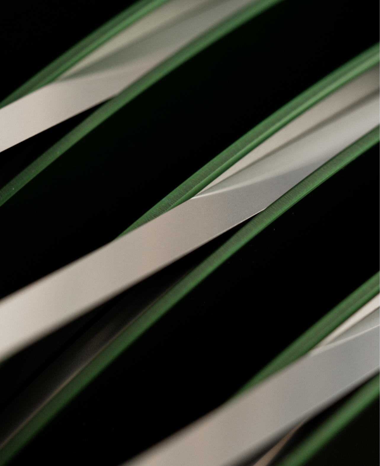 Close-up of reflective silver strips overlaid on green leaves against a black background.