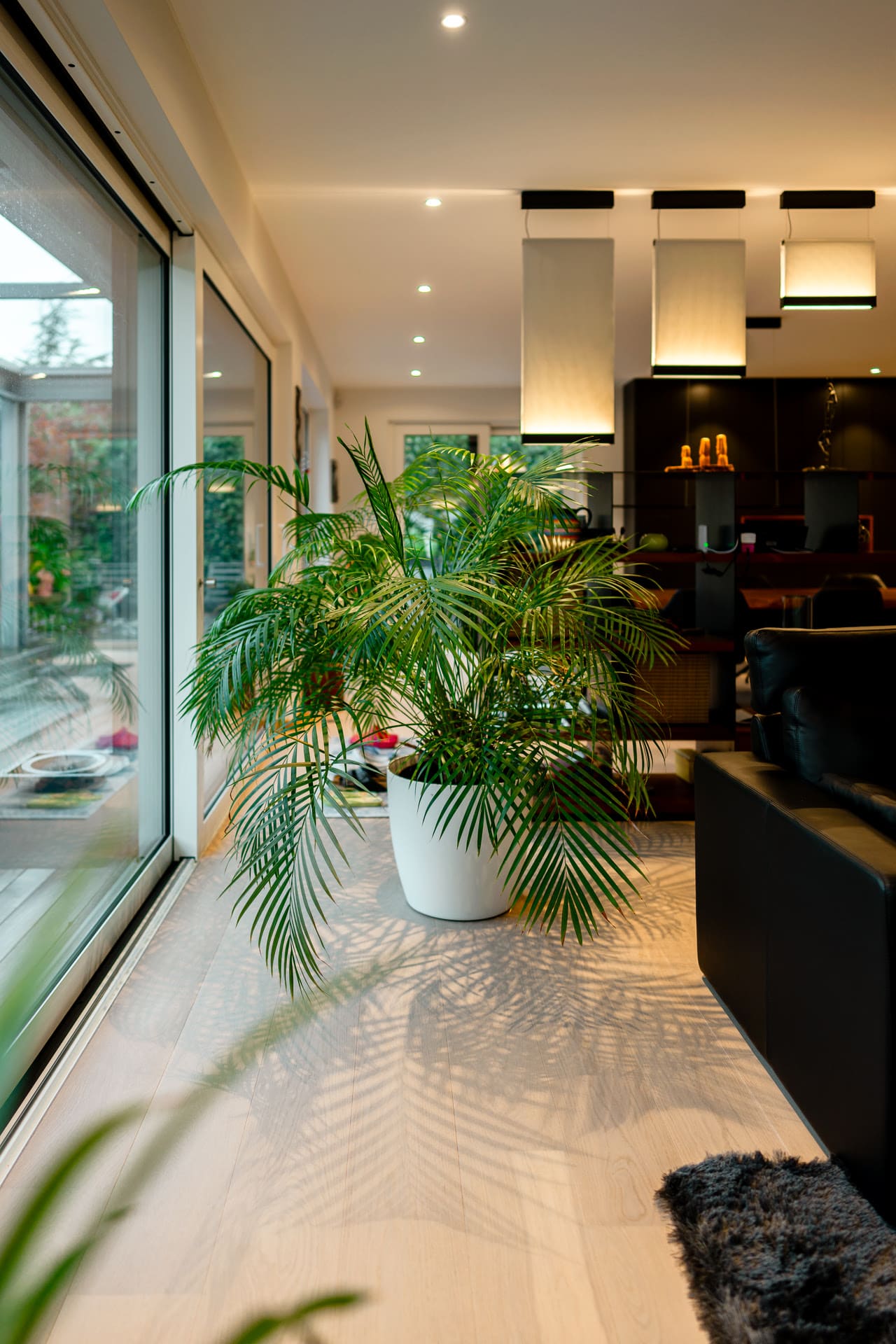 parquet dans salon 