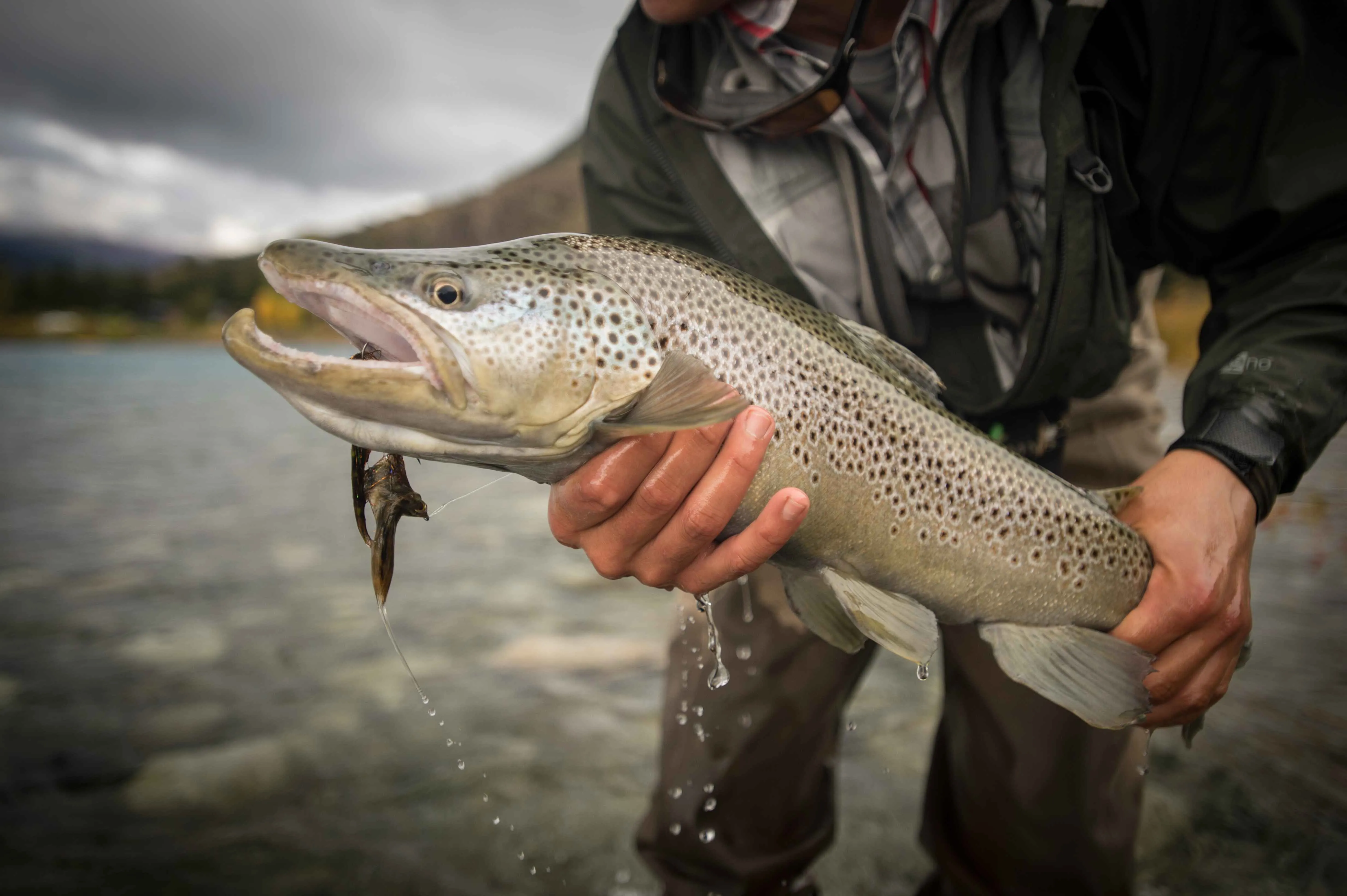 A man holding a fish in his hand