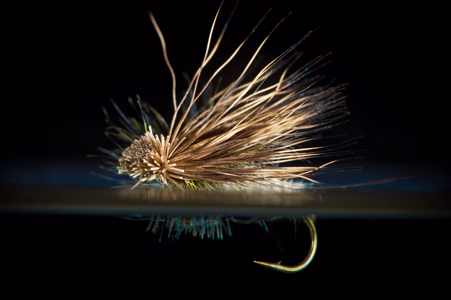 Elk Hair Caddis floating in the water.