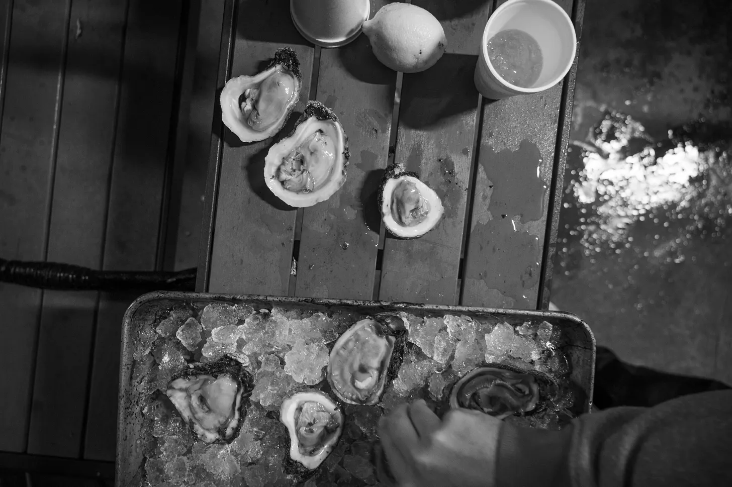 An oyster table in south Florida.