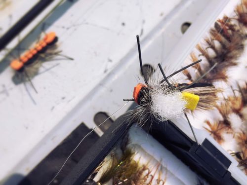 Hopper dry fly for Silver Creek.