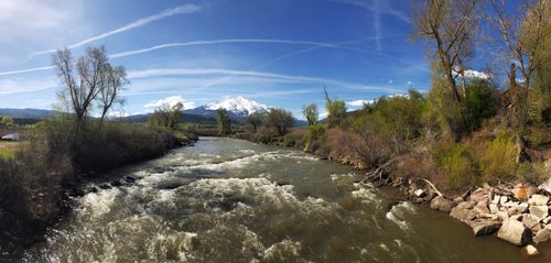 Crystal River above the hatchery, Carbondale, CO.