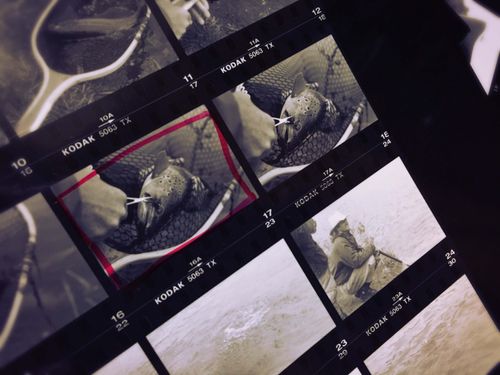 Kea Hause at Gianinetti’s Spring Creeks, Carbondale, CO.