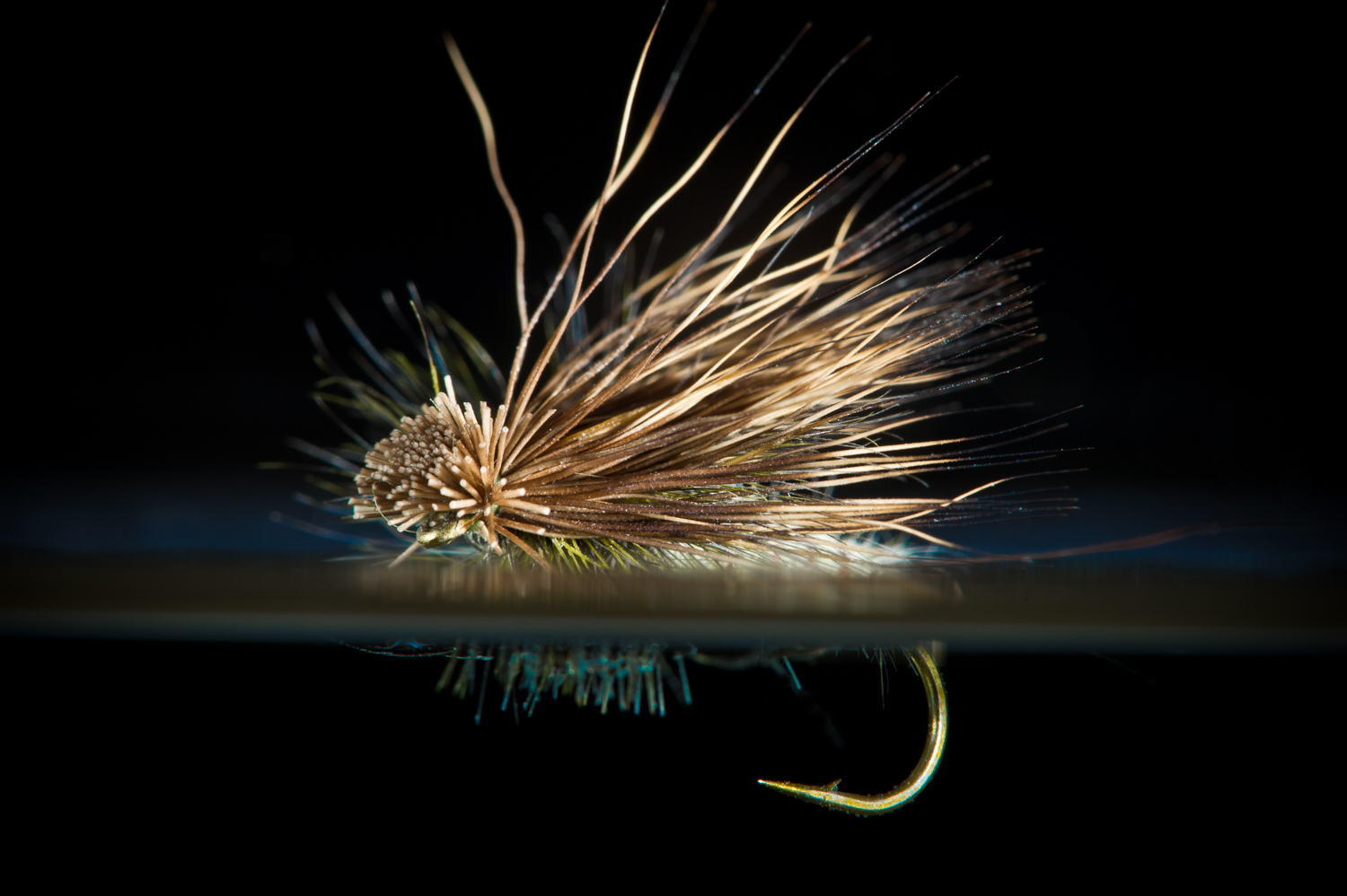 Elk Hair Caddis dry fly in water.