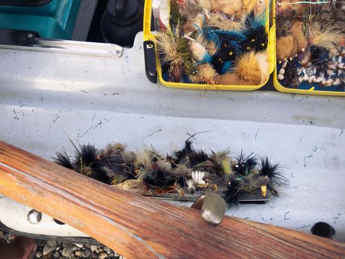 Streamers in a drift boat in Alberta.