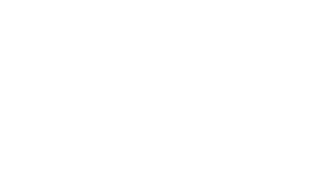 Stu's Superior Flies logo