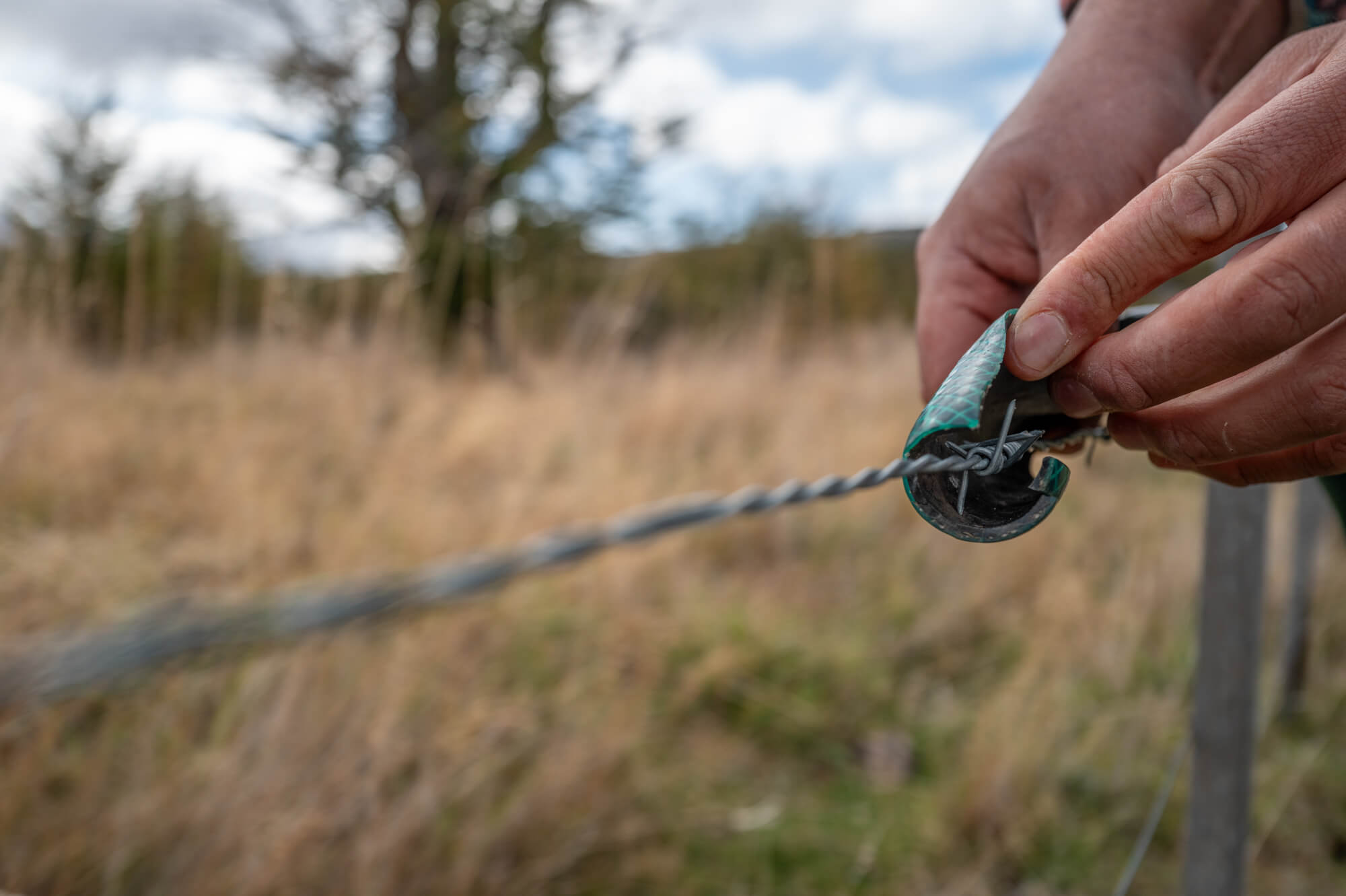 Garden hose being wrapped around a barbed wire fence in Chile.