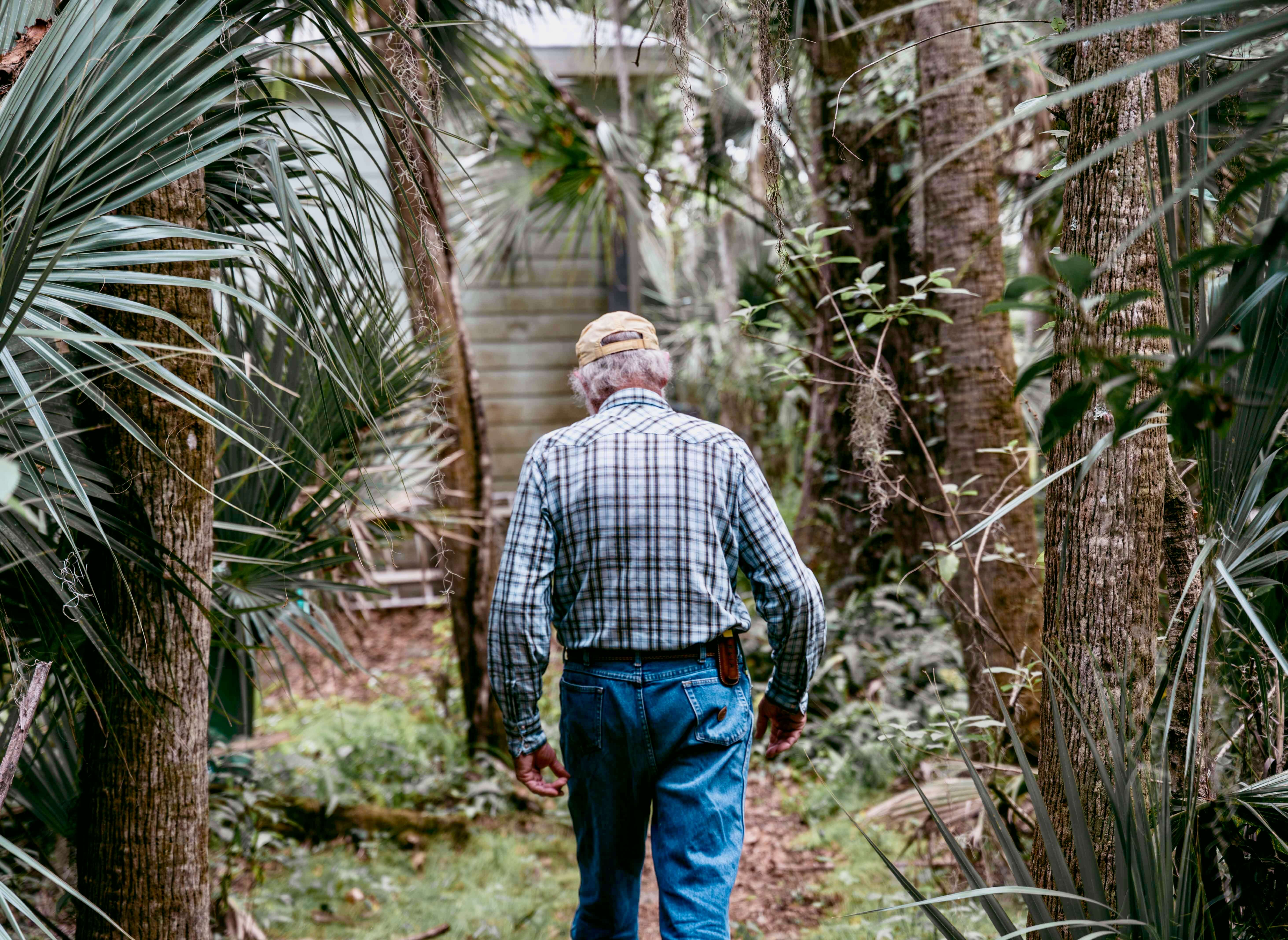 Flip Pallot walking the woods behind his Florida home.
