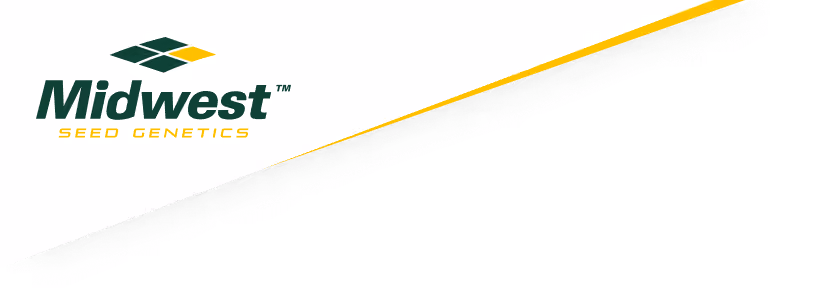 midwest seed genetics corner logo
