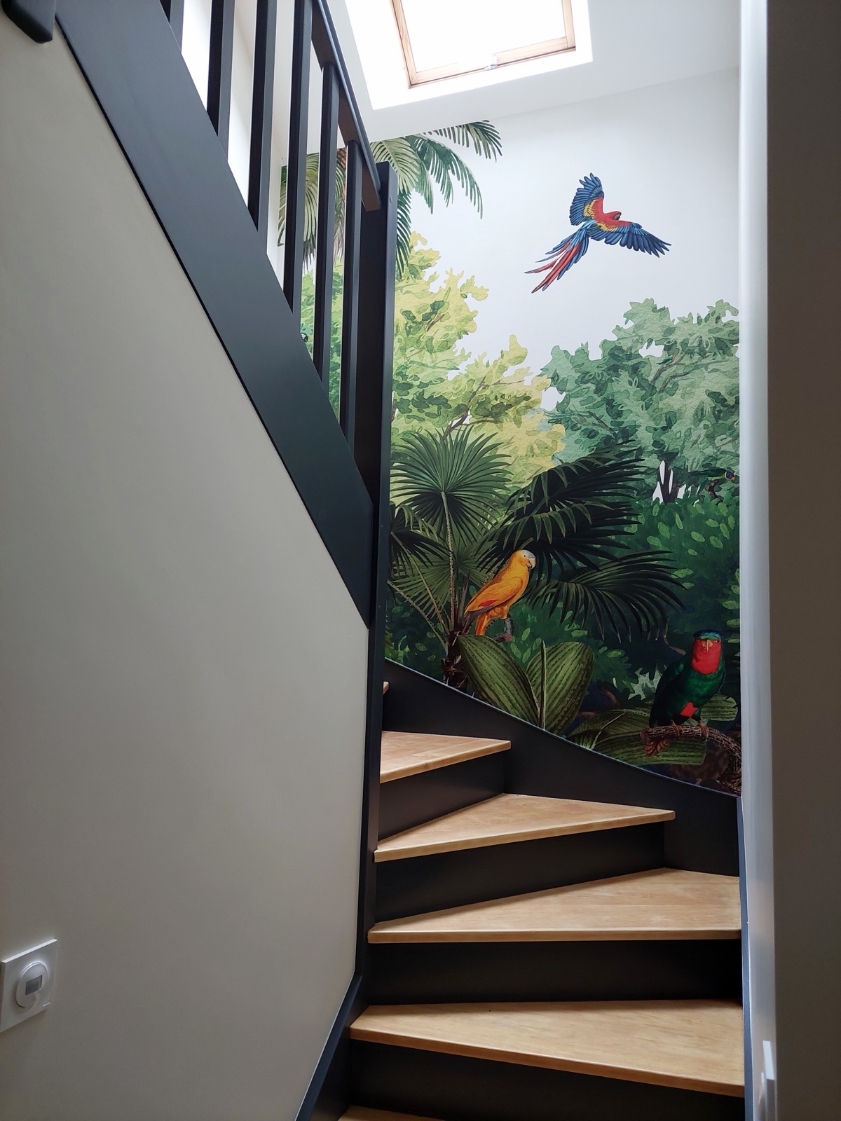 Escalier peint en noir avec marches en bois et papier peint tropical à perroquets