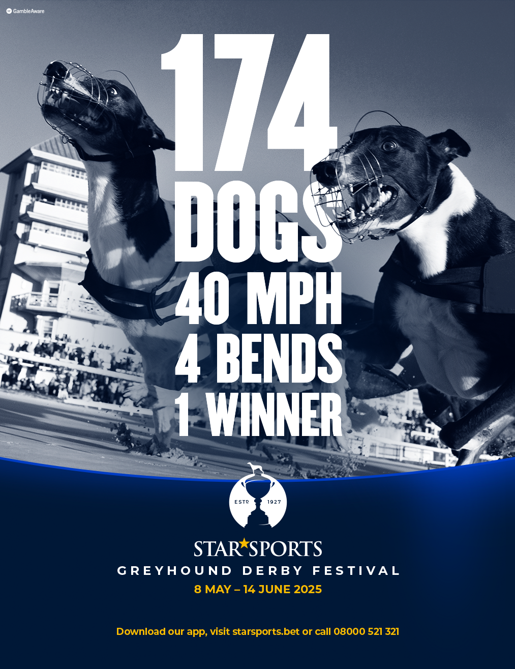 Greyhound Derby Festival