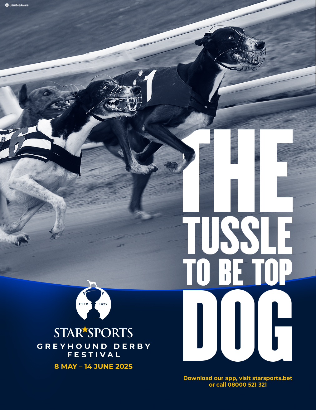 Greyhound Derby Festival