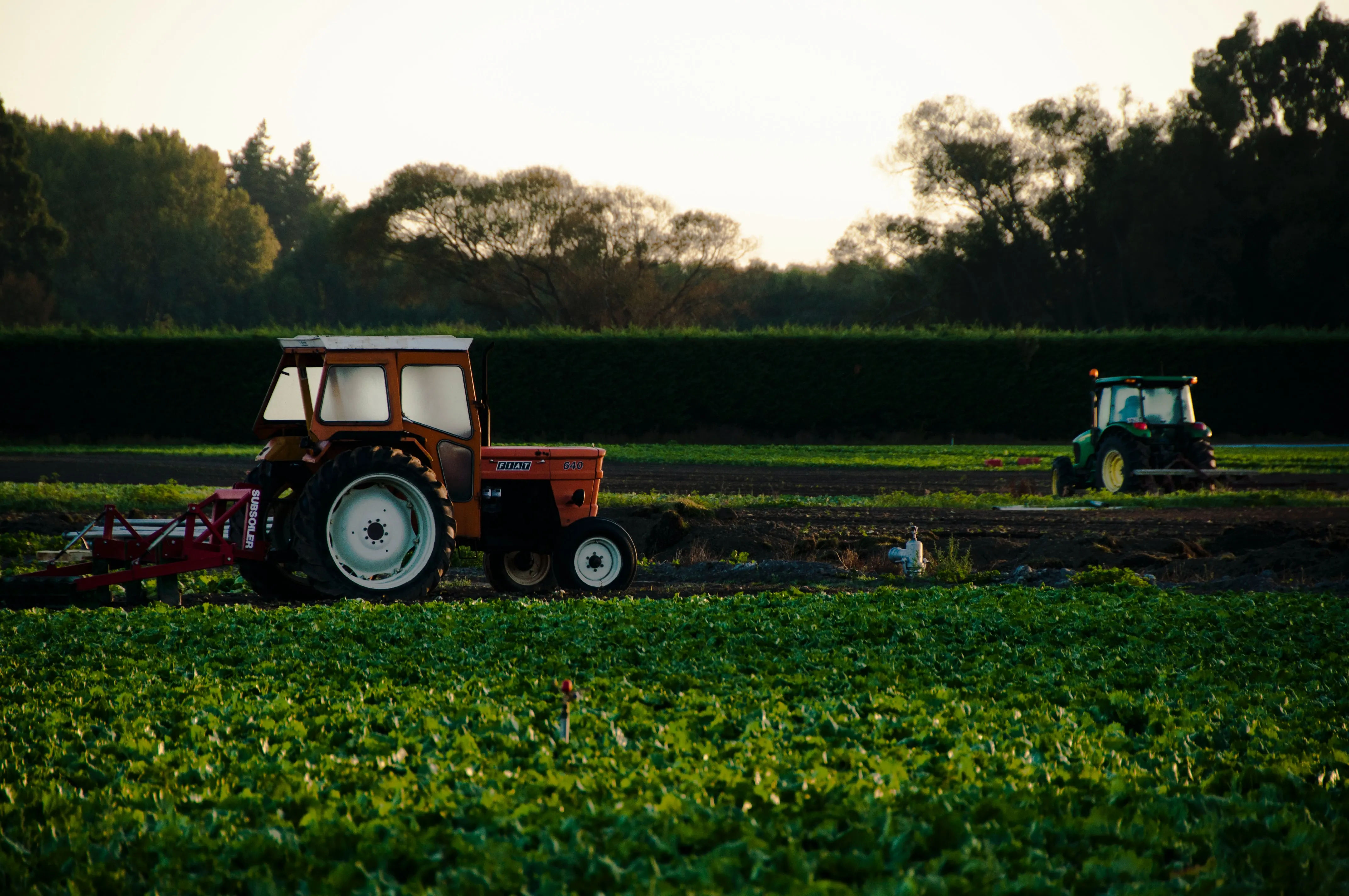 Two tractors working in a green agricultural field with trees in the background during sunset.