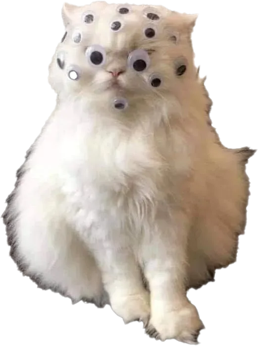 Cat with many googly eyes placed all over its head