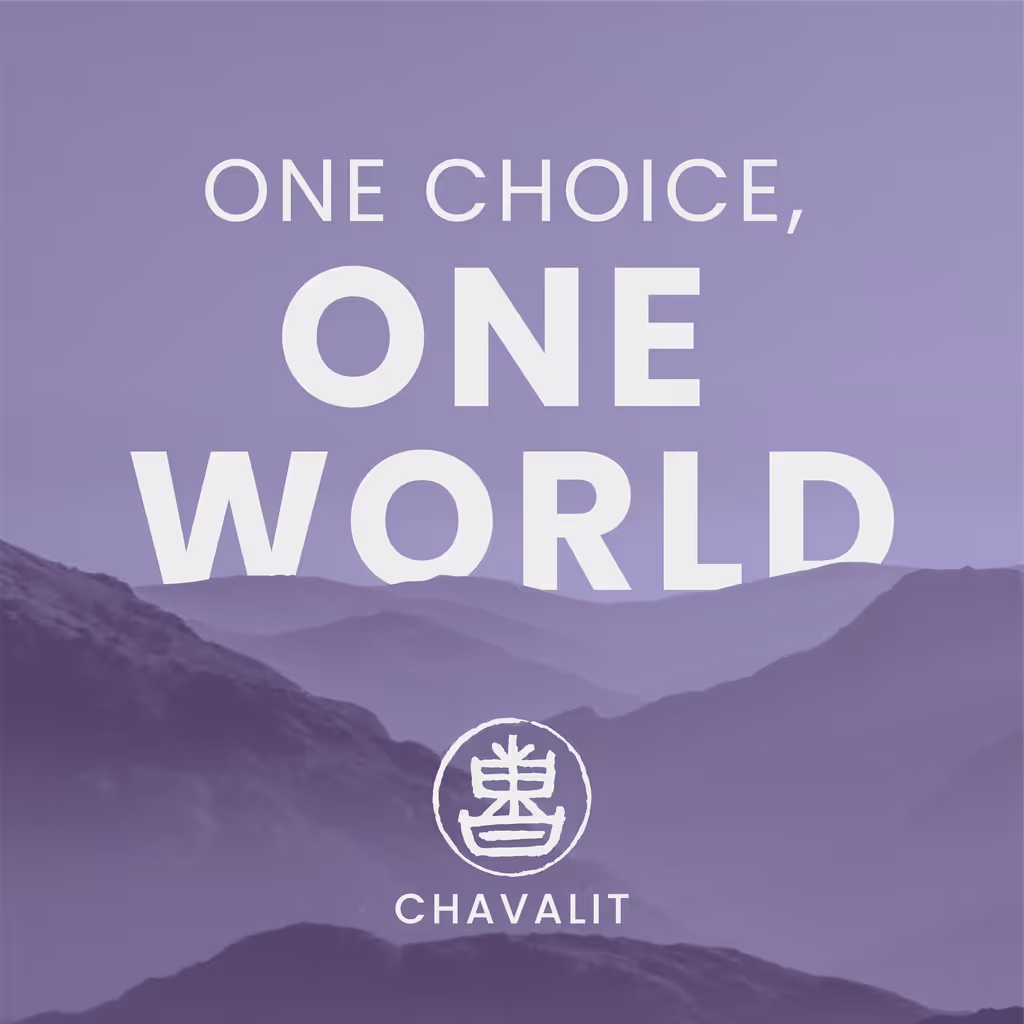 One Choice One Worrld