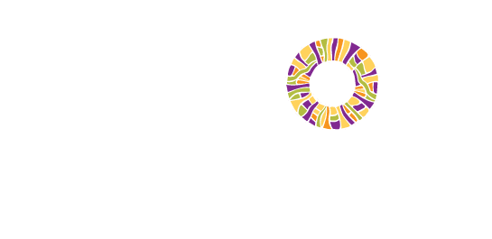 fusion academy logo