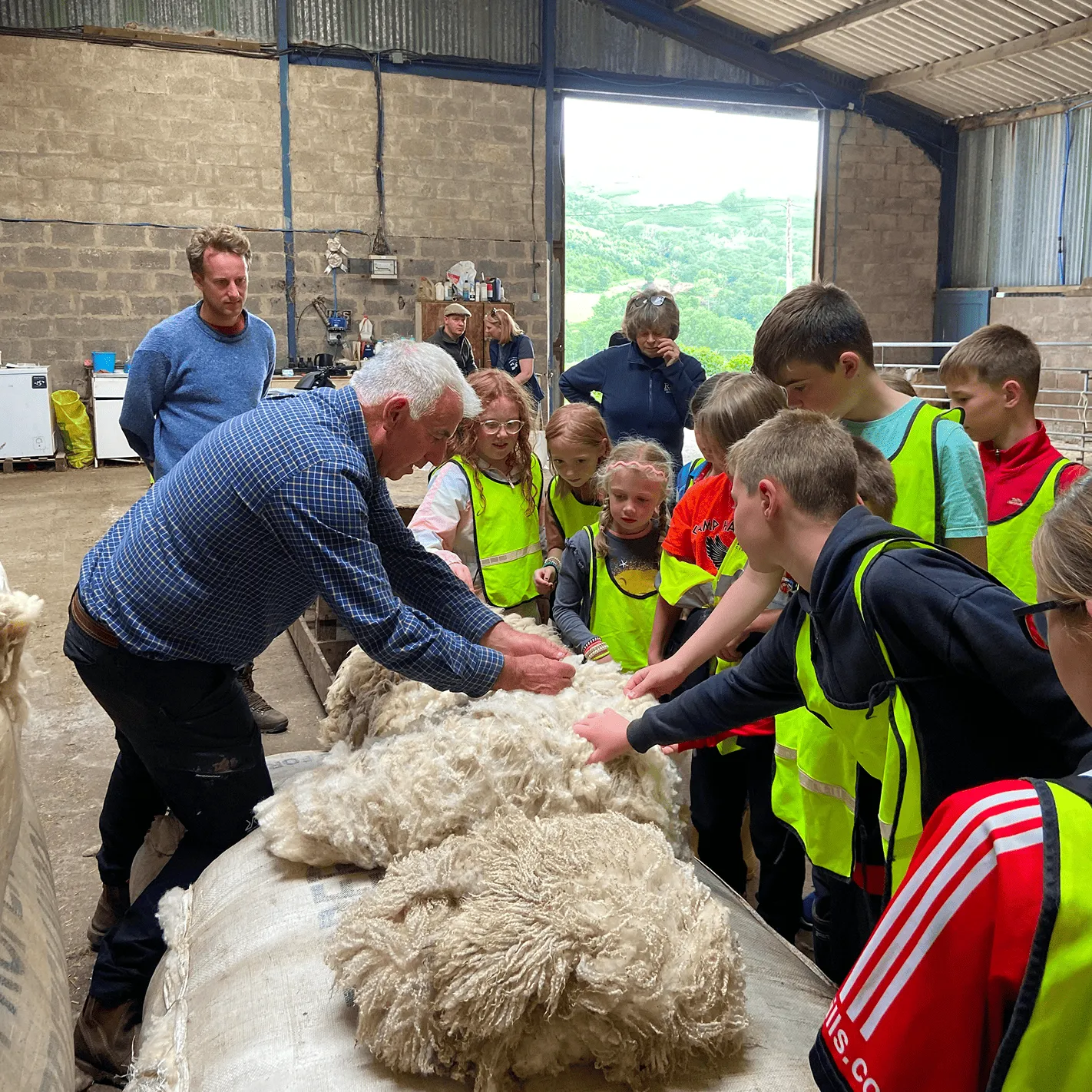 A man shows a group of children in high-visibility vests how to handle wool inside a barn.
