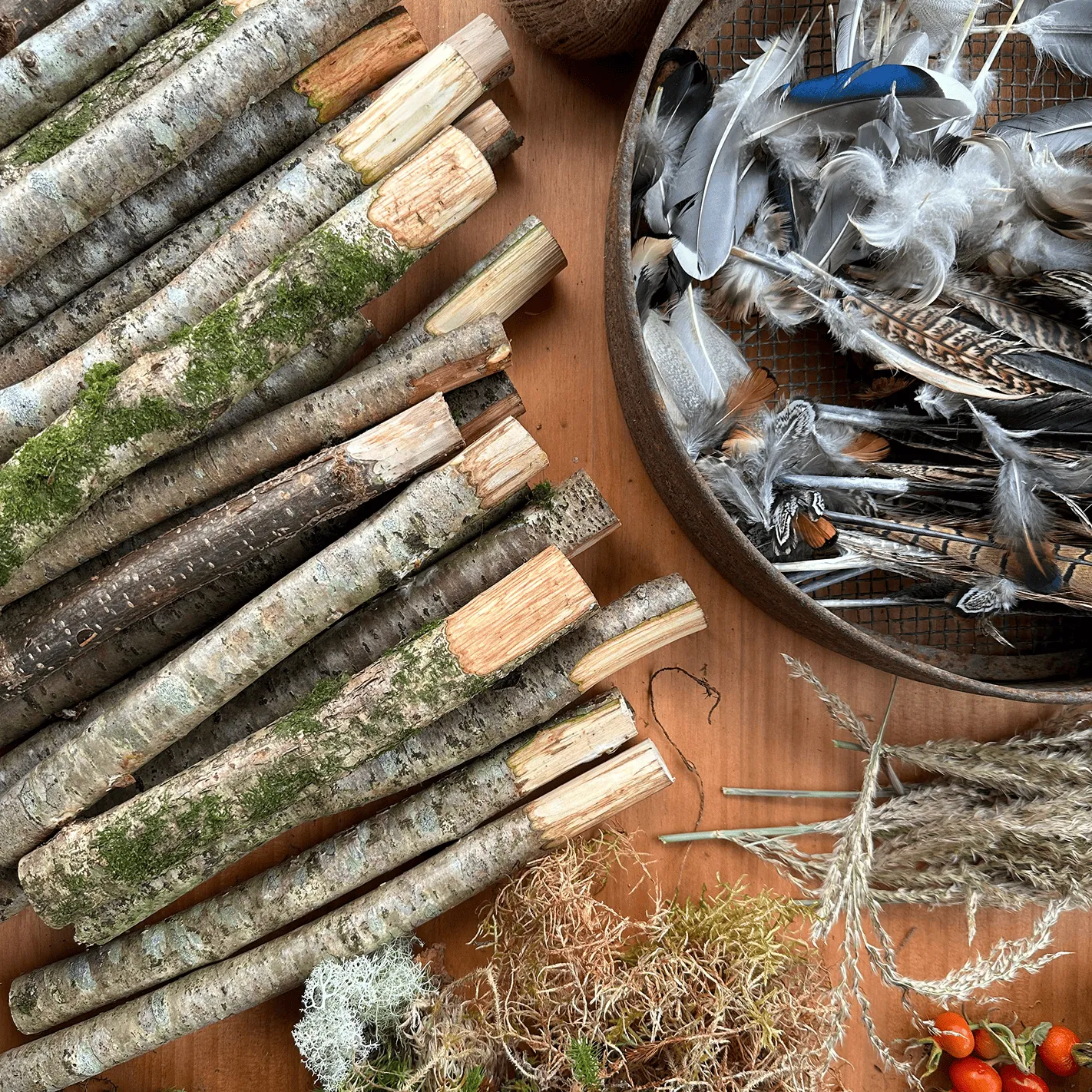 Several cut tree branches, a bowl of assorted feathers, dried grasses, moss, and orange berries arranged on a wooden surface.