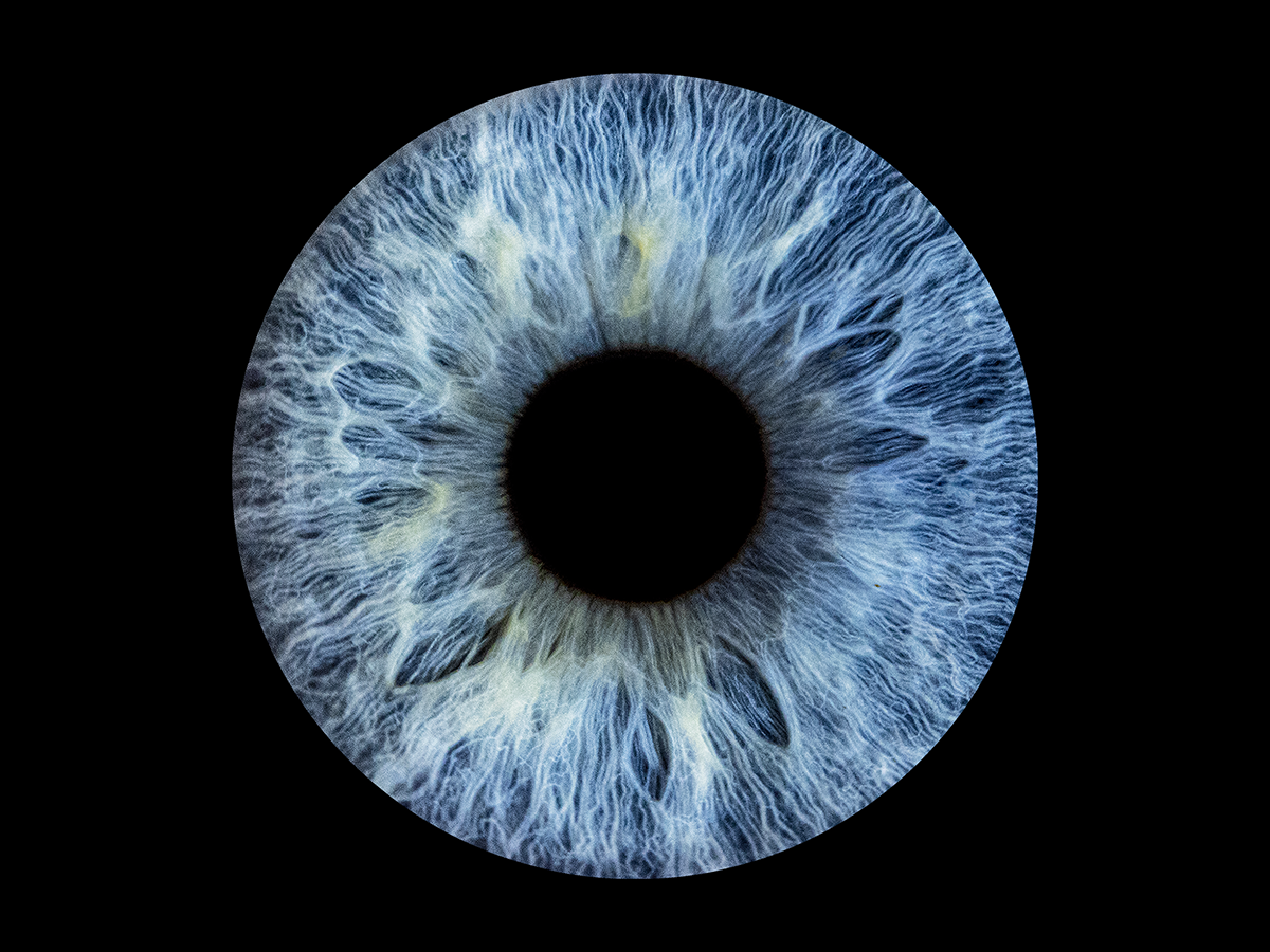 Simple no aura single iris style