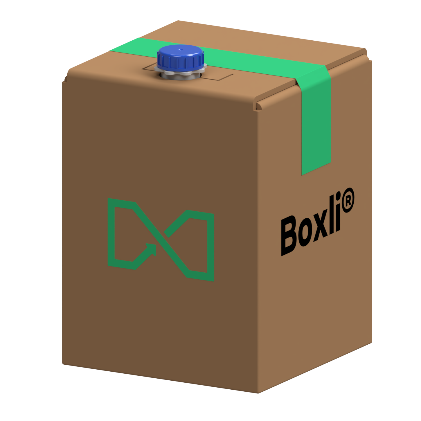 Bag in box with a spout and taped lid