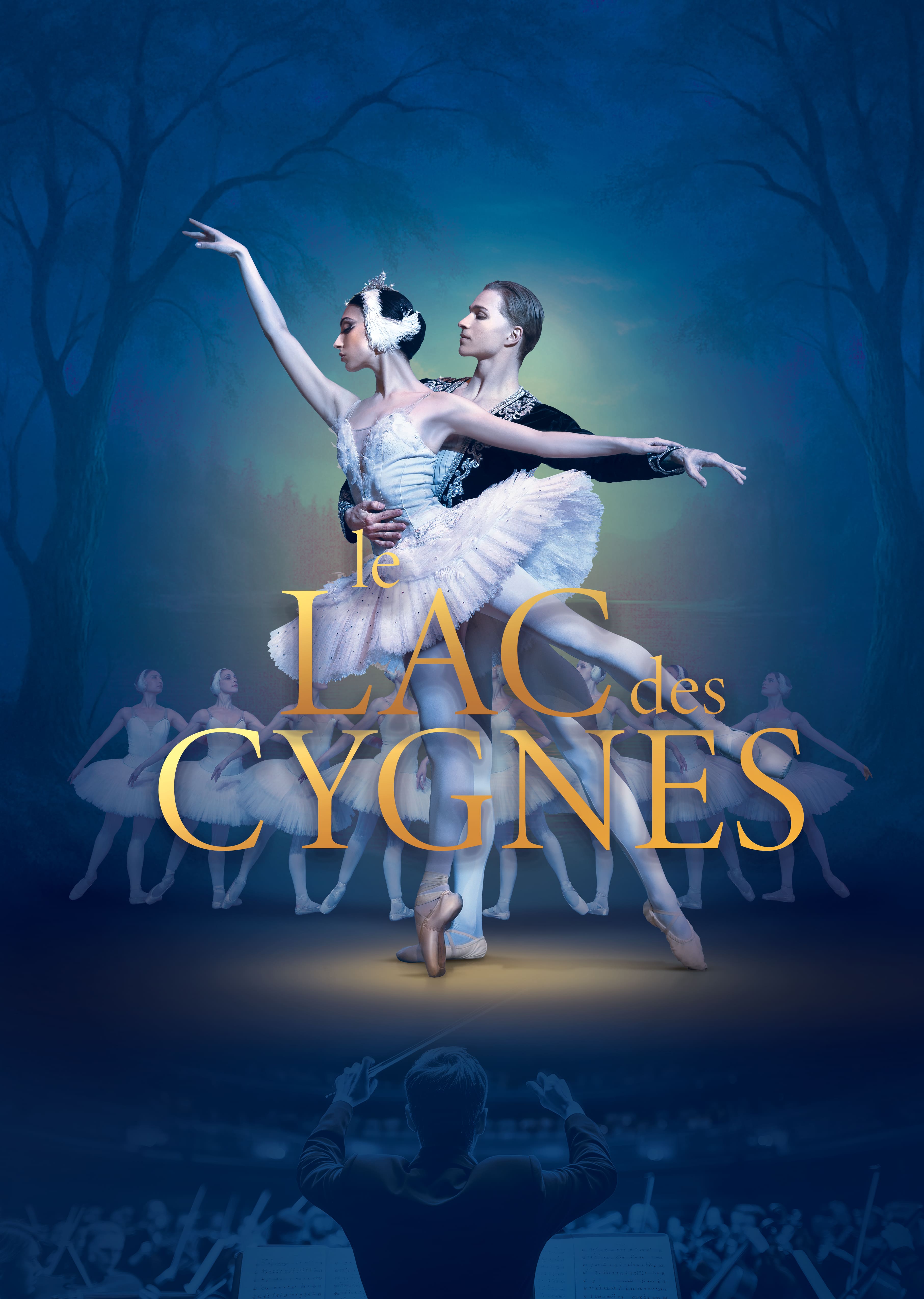 Affiche du spectacle : Le lac des cygnes