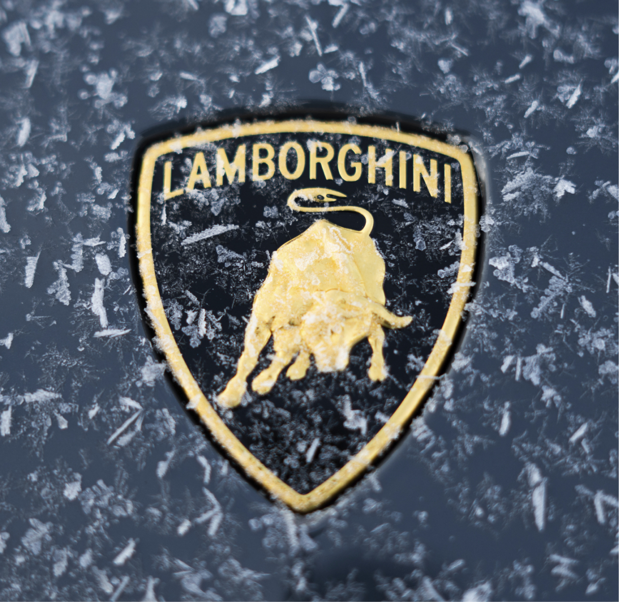 Close-up of Lamborghini emblem covered in frost, highlighting the brand’s presence in extreme winter conditions
