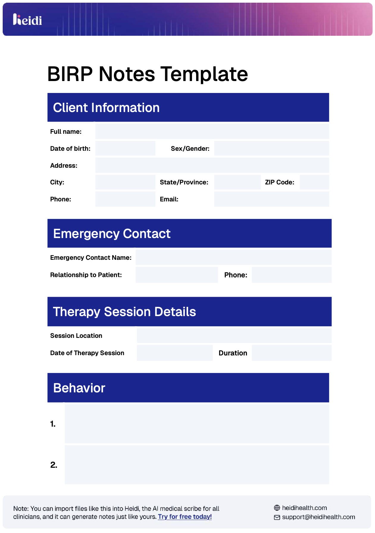 BIRP Notes Template