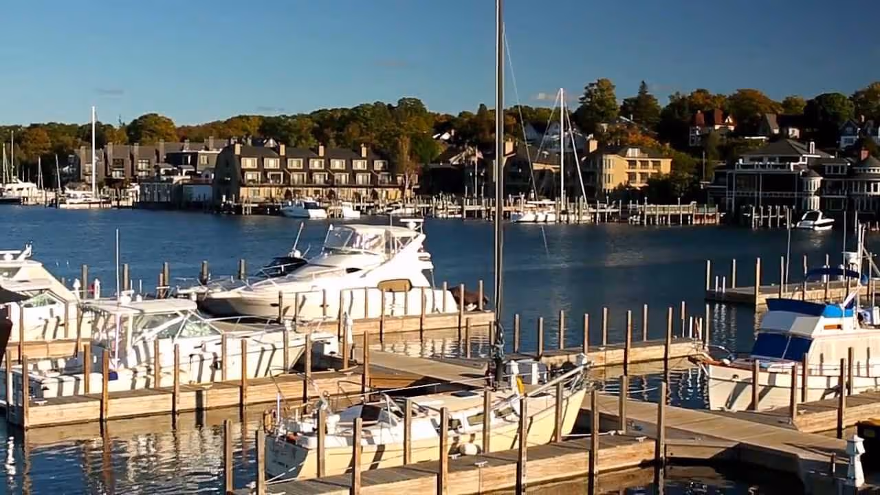 Marina with various white motorboats and sailboats docked on wooden piers under clear blue sky.