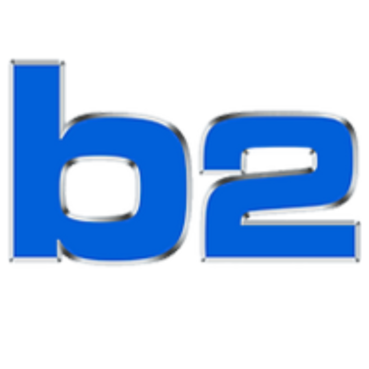 Image of b2 Fighting Series logo.