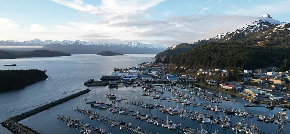Aerial view of a harbor with many boats docked, surrounded by forested hills and mountains capped with snow under a partly cloudy sky.
