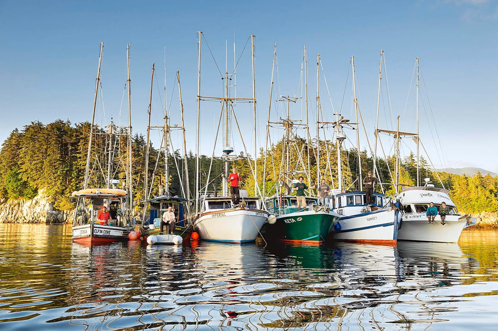 Several sailboats and fishing boats docked side by side on calm water with tall pine trees and rocky shoreline in the background, and people standing or sitting on the boats under a clear blue sky.