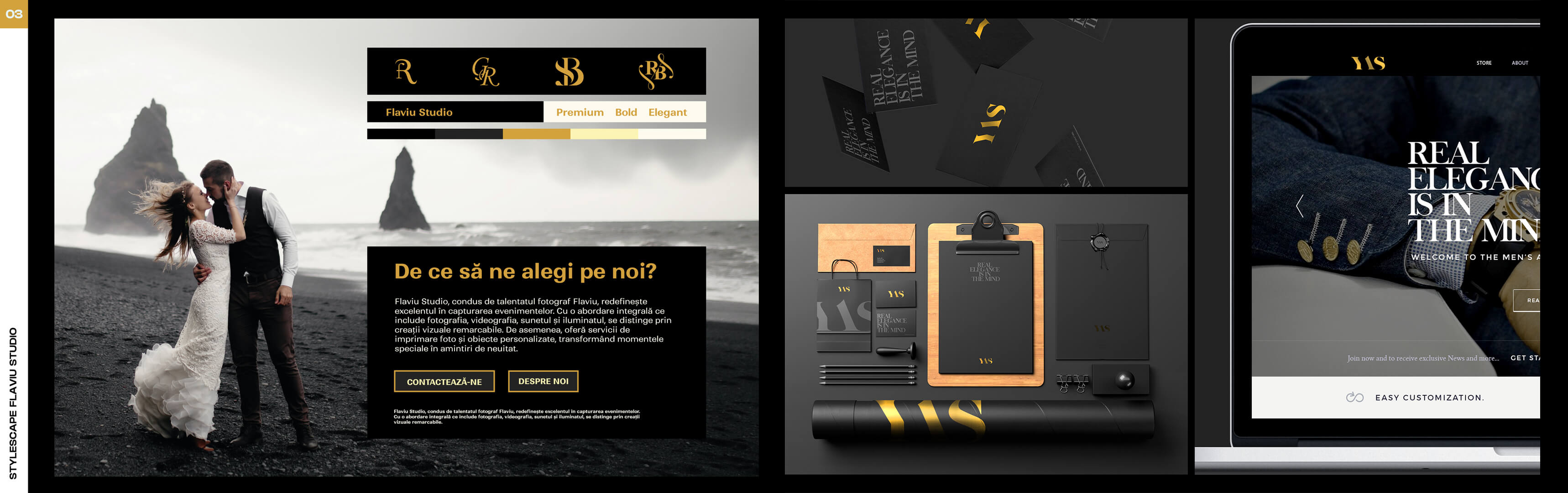 Stylescape Flaviu Studio - Versiunea 3