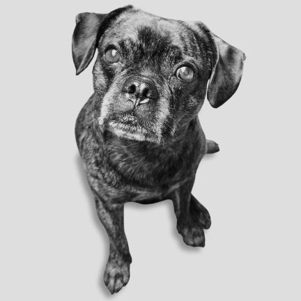 Mitarbeiter Foto von Louie