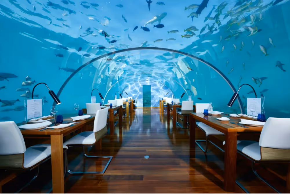 Ithaa: Underwater Dining in the Maldives