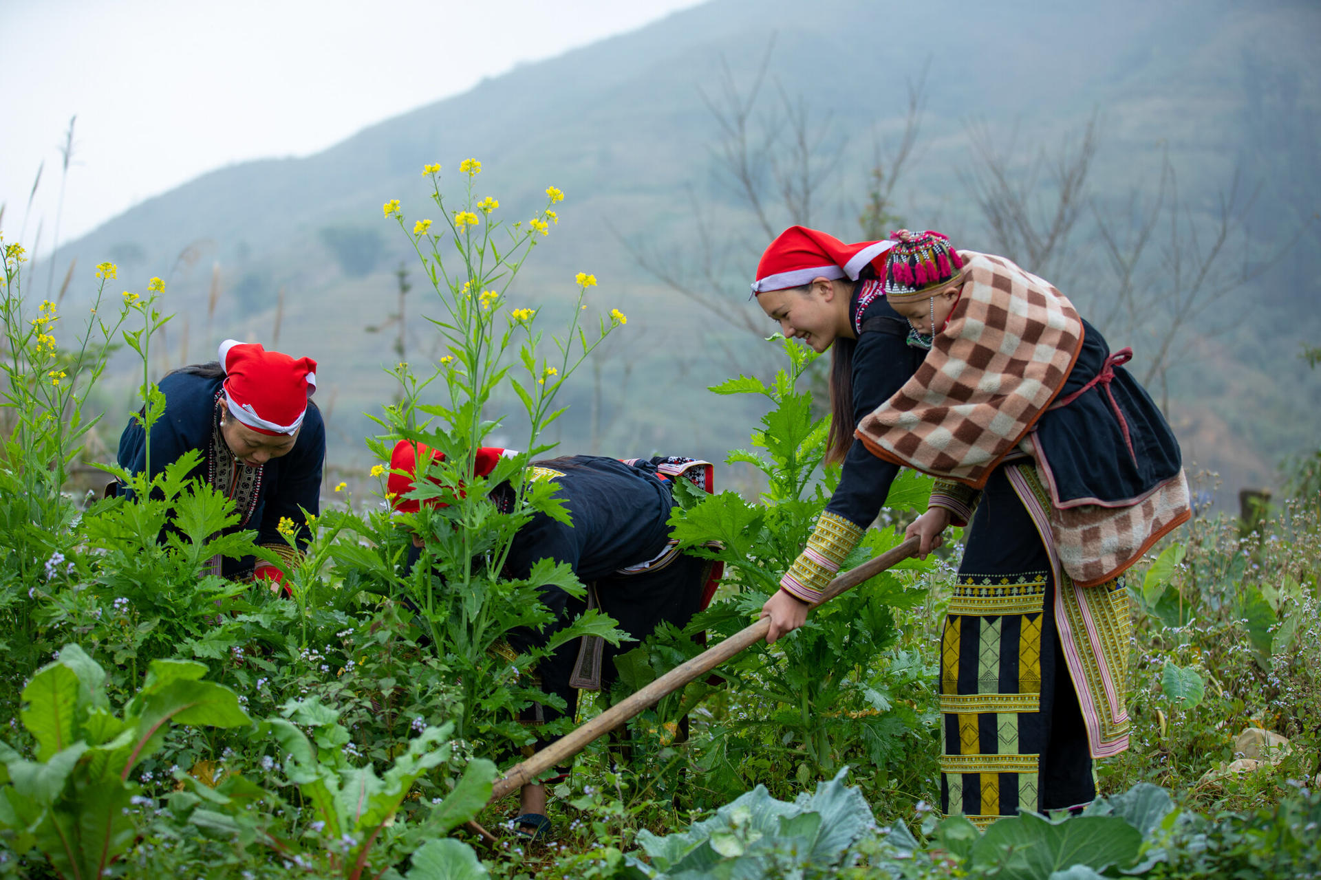  Agricultura