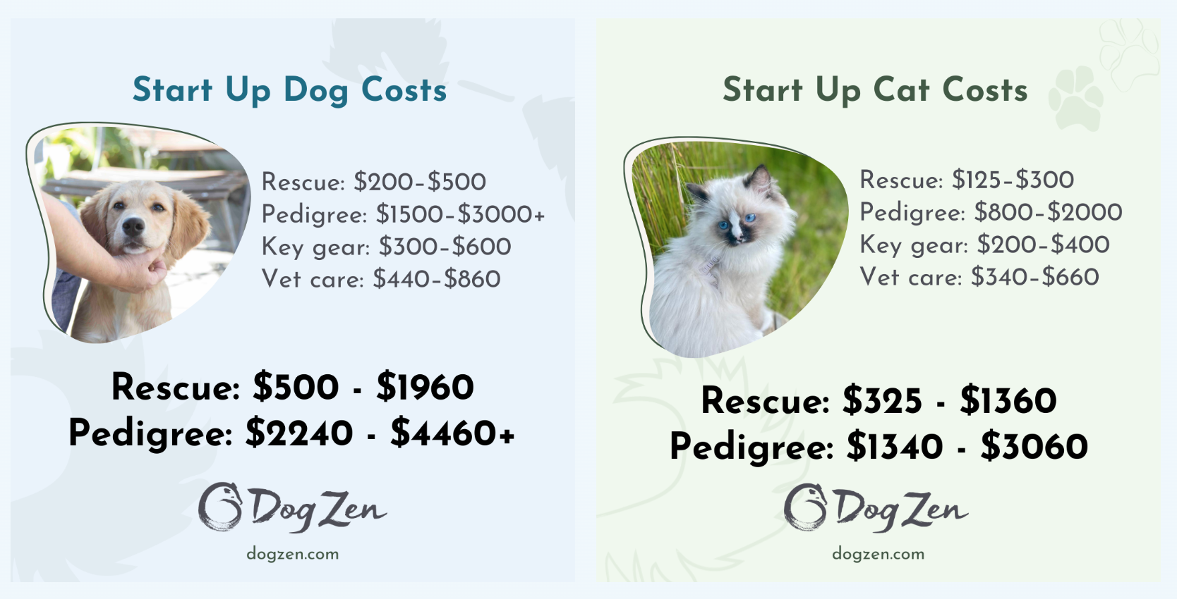 Infographics demonstrating the start up costs for a dog or cat in New Zealand