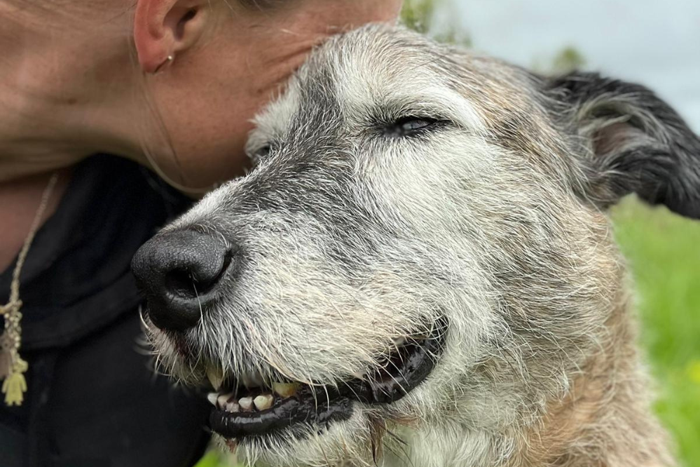 A woman cuddles an old dog