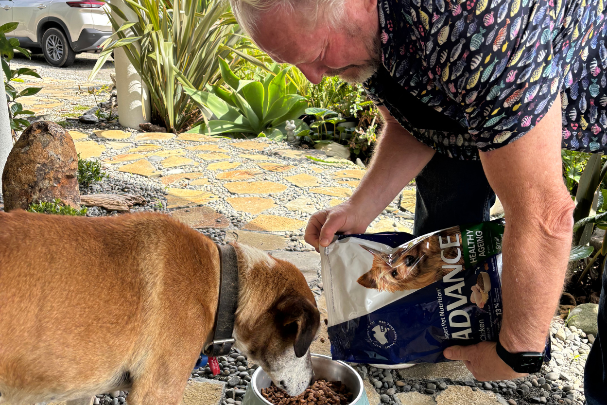 Mark Vette feeds an older dog ADVANCE Healthy Ageing dog food