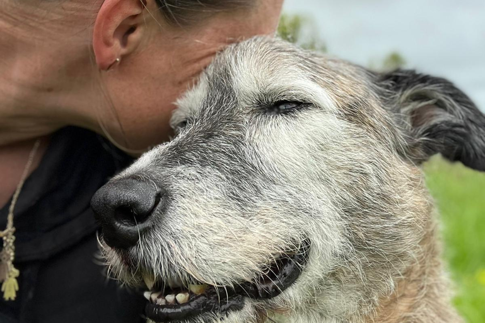 Woman comforts elderly dog