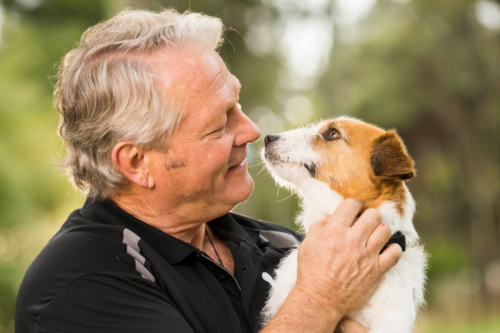 Tips for adopting an older pet