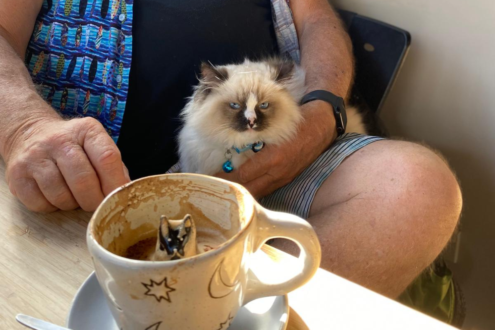 Mark Vette out with a new kitten