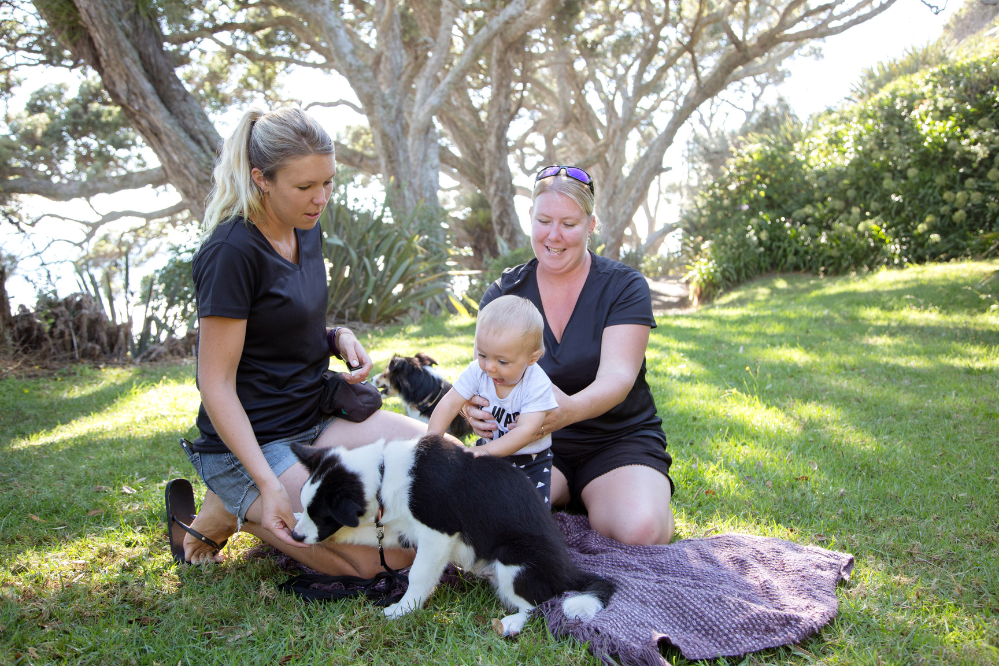 A new puppy gets out and gets socialisation with a baby