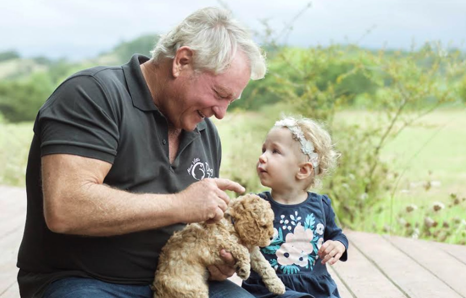 Mark Vette's Virtual Dog Training Schools