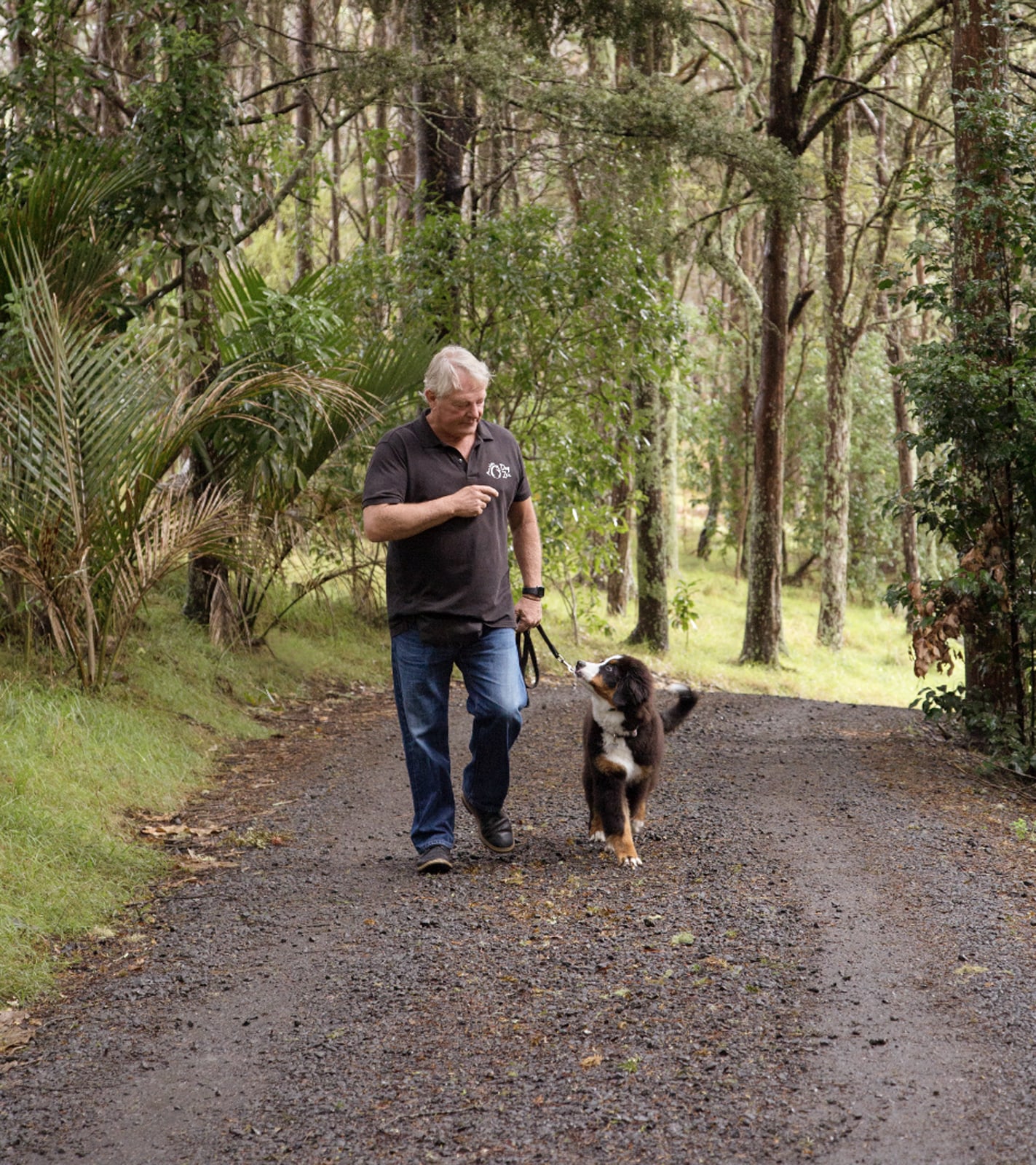 Mark Vette's Virtual Dog Training Schools