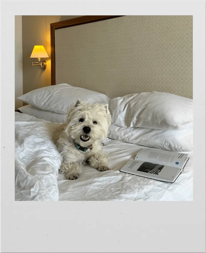 Приклад роботи 6