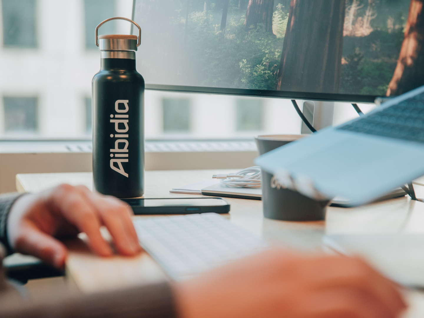 Aibidia’s Guide to Limited Risk Distributors