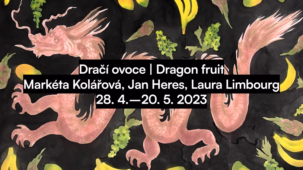 HYB4 Galerie: Dragon fruit