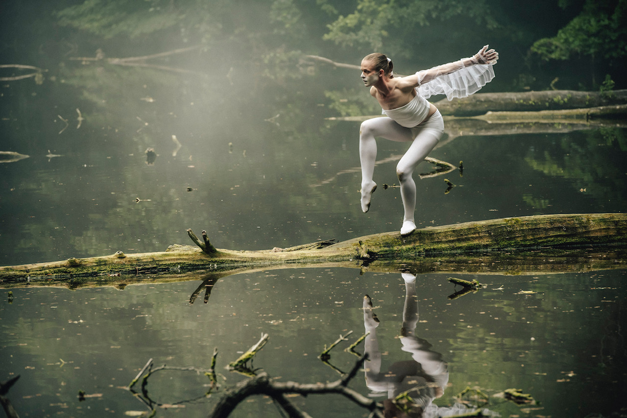Kampus hostí výstavu upozorňující na úhyn ptáků ve městě